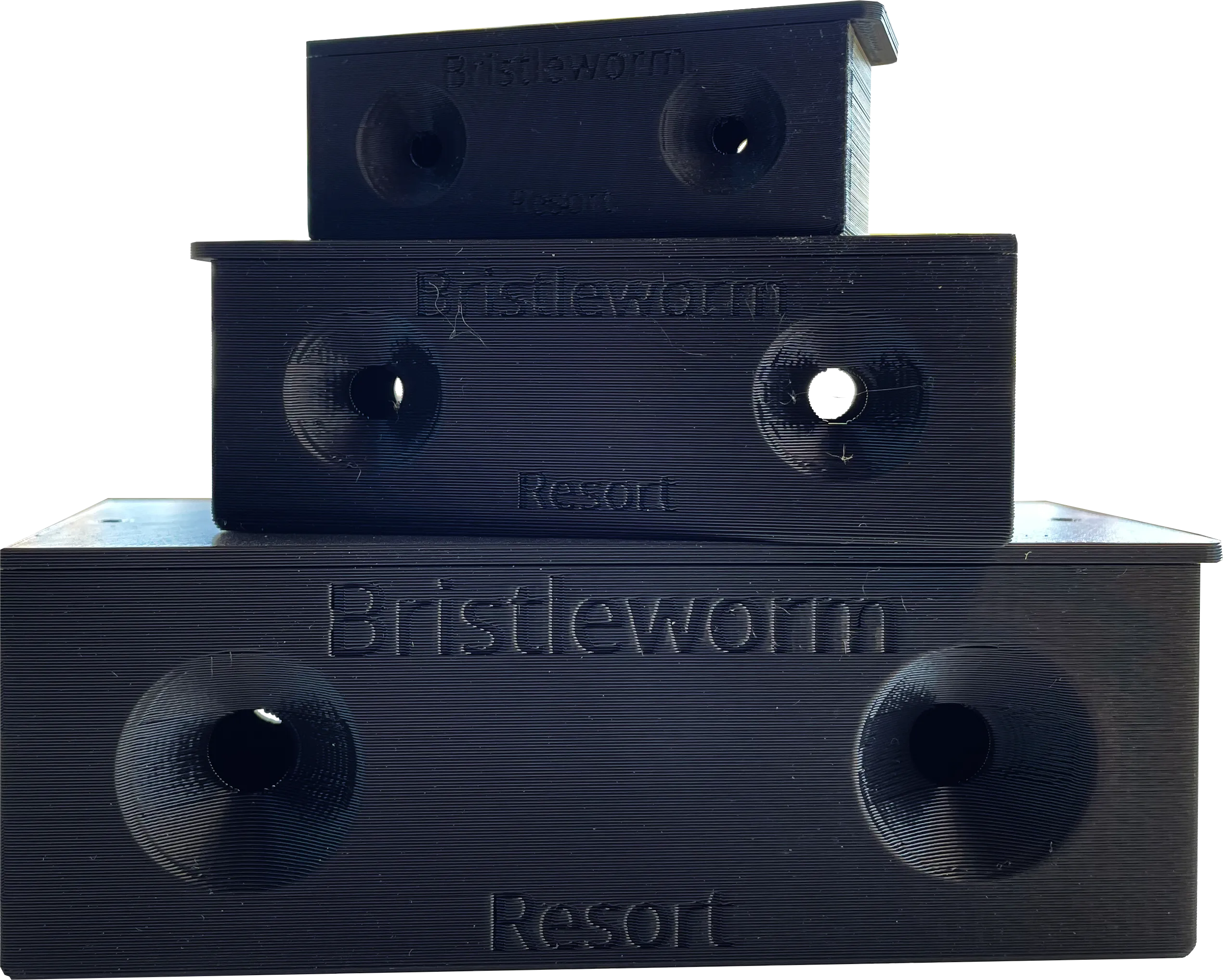 BRISTLEWORM RESORT