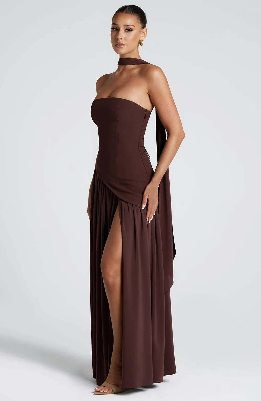 Elara Plum Brown Maxi Dress
