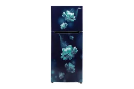 LG GL-N292BBCY 242L Double Door Refrigerator with Smart Inverter Compressor, Multi-Air Flow, Blue Charm, 2 Star