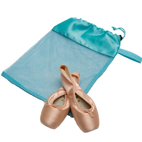 Mesh Pointe Shoe Bag