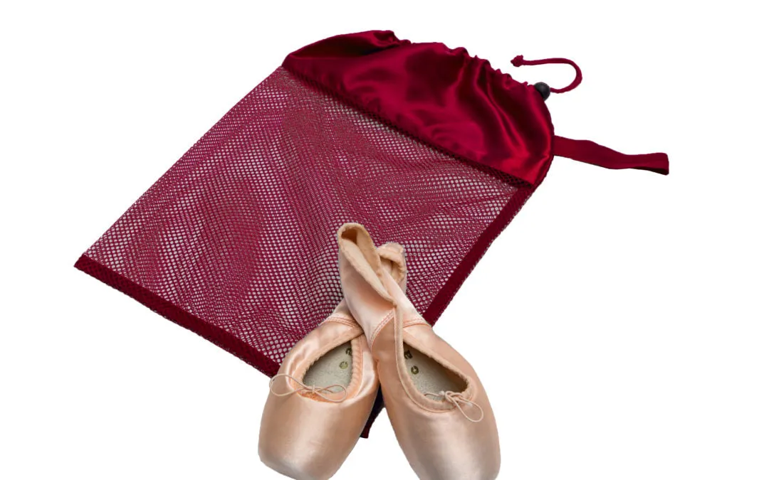Mesh Pointe Shoe Bag