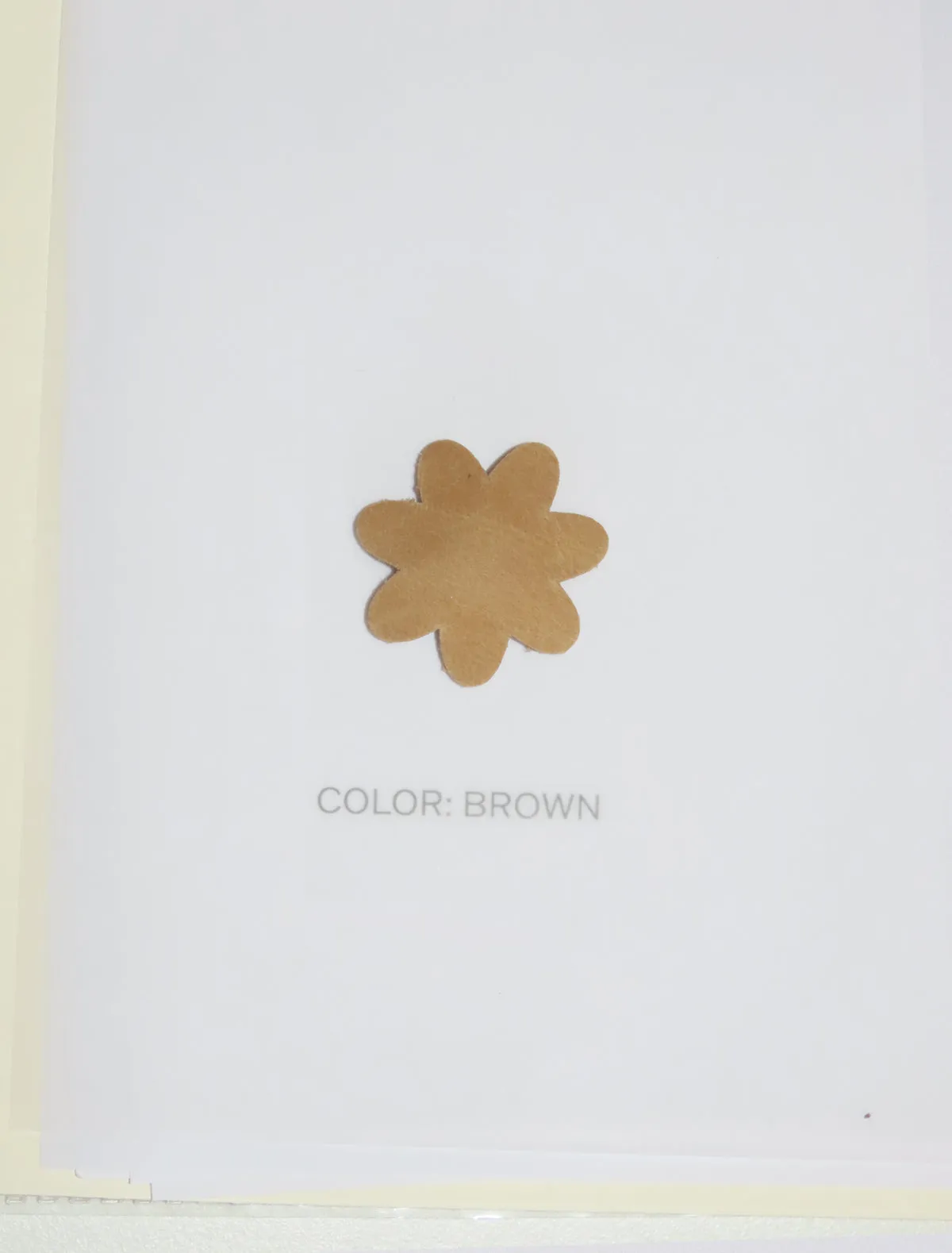 no 1975 / Flower snap pack