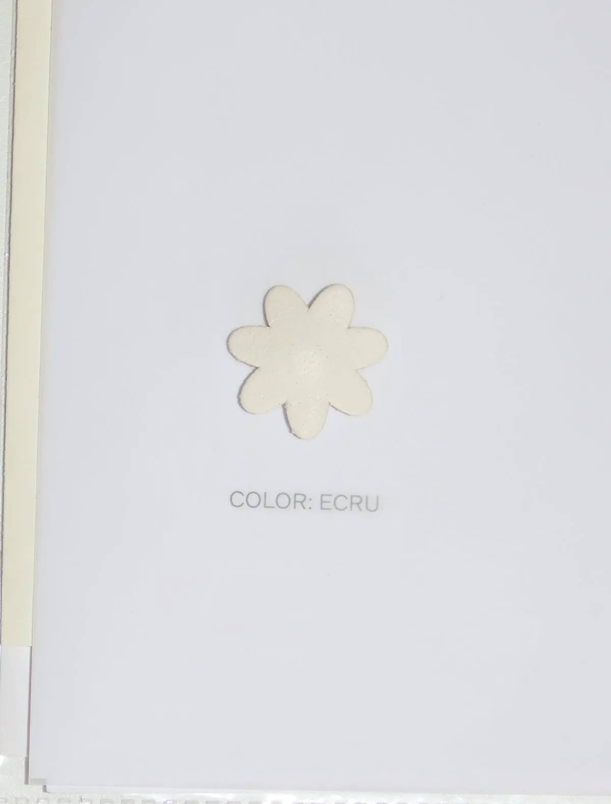no 1975 / Flower snap pack