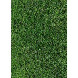 X-Drop Canvas Backdrop - Green Grass (5' x 7')