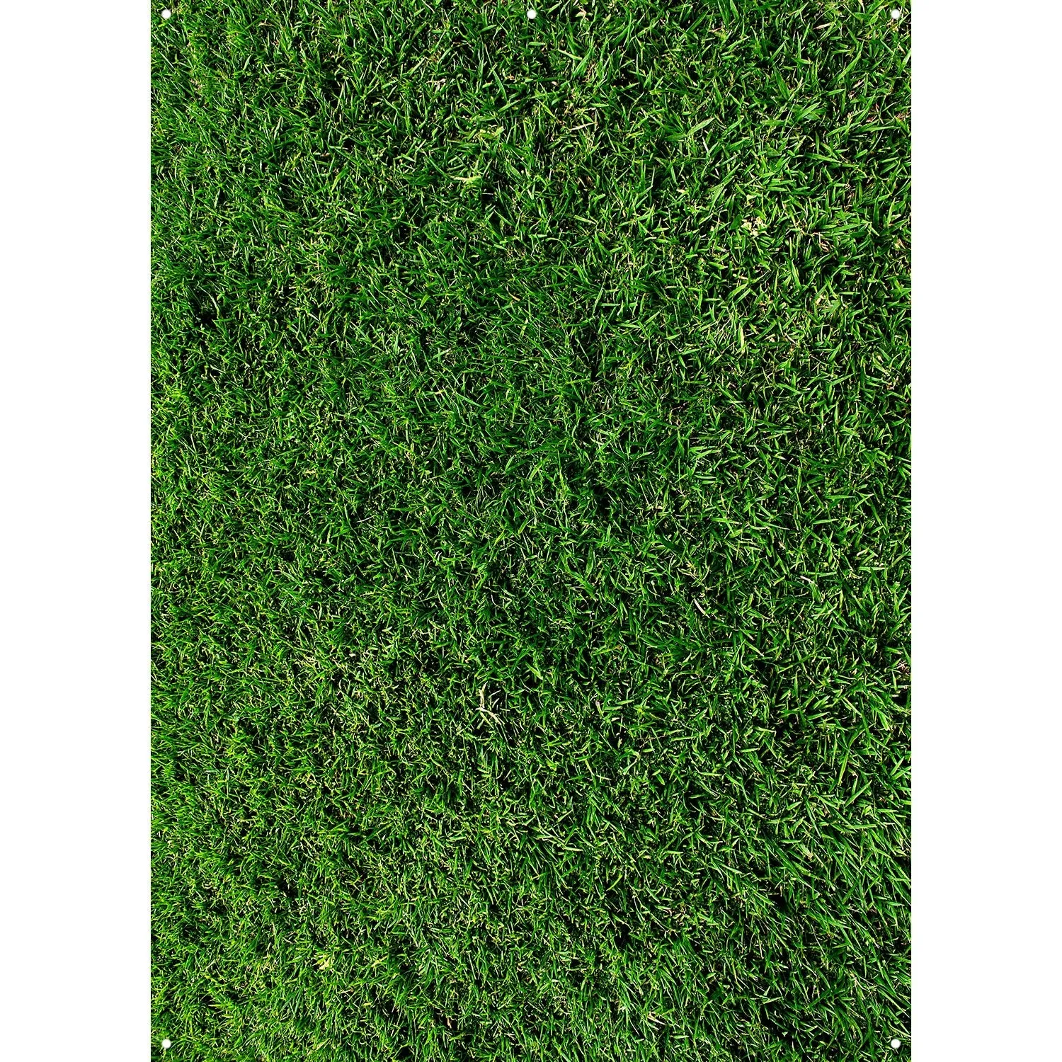 X-Drop Canvas Backdrop - Green Grass (5' x 7')